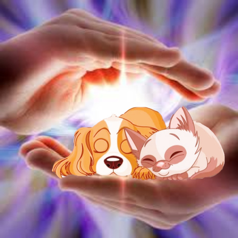 Волшебное Рейки